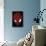 Marvel Comics - Spider-Man - Text Face-Trends International-Framed Poster displayed on a wall