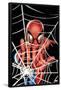 Marvel Comics - Spider-Man - Web-Trends International-Framed Poster