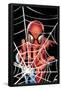 Marvel Comics - Spider-Man - Web-Trends International-Framed Poster