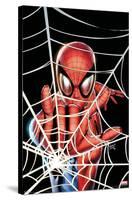 Marvel Comics - Spider-Man - Web-Trends International-Stretched Canvas