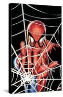 Marvel Comics - Spider-Man - Web-Trends International-Stretched Canvas