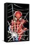 Marvel Comics - Spider-Man - Web-Trends International-Framed Stretched Canvas