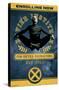 Marvel Comics - The X-Men - Xavier Institute-Trends International-Stretched Canvas