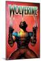 Marvel Comics - Wolverine - Astonishing X-Men #1 Variant-Trends International-Mounted Poster