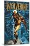 Marvel Comics - Wolverine - Dark Wolverine #77-Trends International-Mounted Poster