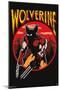 Marvel Comics - Wolverine - Retro Gaming-Trends International-Mounted Poster