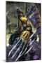 Marvel Comics - Wolverine - Wolverine #1-Trends International-Mounted Poster