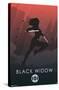 Marvel Heroic Silhouette - Black Widow-Trends International-Stretched Canvas