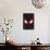 Marvel's Spider-Man: Miles Morales - Face-Trends International-Framed Poster displayed on a wall