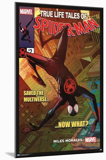 Marvel Spider-Man: Across the Spider-Verse - Now What Cover-Trends International-Mounted Poster