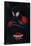 Marvel Spider-Man - Into The Spider-Verse - Shadow-Trends International-Framed Poster