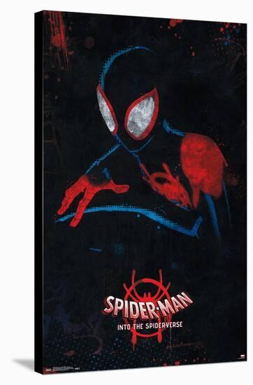 Marvel Spider-Man - Into The Spider-Verse - Shadow-Trends International-Stretched Canvas