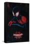 Marvel Spider-Man - Into The Spider-Verse - Shadow-Trends International-Framed Stretched Canvas