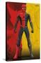 Marvel Spider-Man: No Way Home - Costume Blend-Trends International-Stretched Canvas