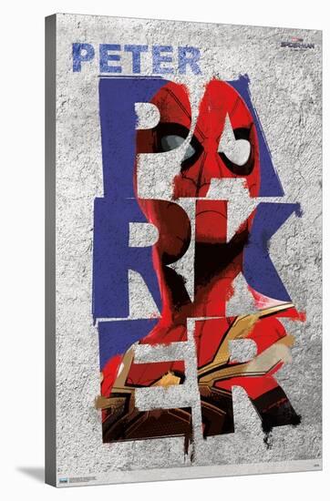 Marvel Spider-Man: No Way Home - Parker-Trends International-Stretched Canvas