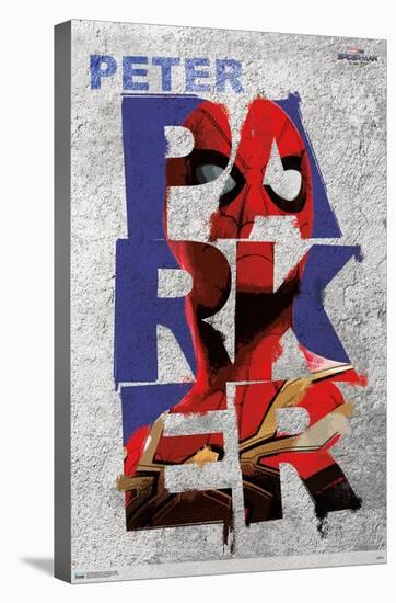 Marvel Spider-Man: No Way Home - Parker-Trends International-Stretched Canvas