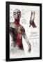 Marvel Spider-Man: No Way Home - Sketches-Trends International-Framed Poster