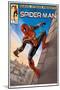 Marvel Spider-Man: No Way Home - Wall Comic-Trends International-Mounted Poster