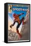 Marvel Spider-Man: No Way Home - Wall Comic-Trends International-Framed Stretched Canvas