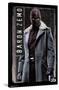 Marvel Television Falcon and Winter Soldier - Baron Zemo-Trends International-Stretched Canvas