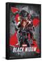 Marvel Universe - Black Widow - Group-Trends International-Framed Poster