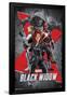 Marvel Universe - Black Widow - Group-Trends International-Framed Poster