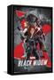 Marvel Universe - Black Widow - Group-Trends International-Framed Stretched Canvas