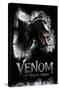 Marvel Venom: Let There be Carnage - Profile-Trends International-Stretched Canvas