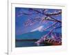 Marvellous Mount Fuji with Cherry Blossom in Japan-Markus Bleichner-Framed Art Print