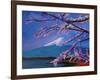 Marvellous Mount Fuji with Cherry Blossom in Japan-Markus Bleichner-Framed Art Print