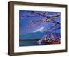 Marvellous Mount Fuji with Cherry Blossom in Japan-Markus Bleichner-Framed Art Print