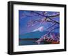 Marvellous Mount Fuji with Cherry Blossom in Japan-Markus Bleichner-Framed Art Print