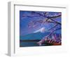 Marvellous Mount Fuji with Cherry Blossom in Japan-Markus Bleichner-Framed Art Print