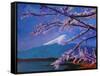 Marvellous Mount Fuji with Cherry Blossom in Japan-Markus Bleichner-Framed Stretched Canvas