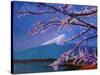 Marvellous Mount Fuji with Cherry Blossom in Japan-Markus Bleichner-Stretched Canvas