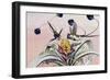 Marvellous Spatuletail (Loddigesia Mirabilis), Trochilidae-null-Framed Giclee Print