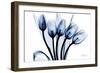 Marvelous Indigo Tulips 2-Albert Koetsier-Framed Art Print