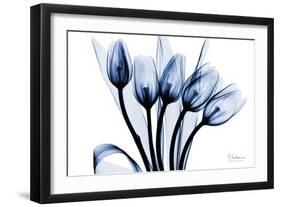 Marvelous Indigo Tulips 2-Albert Koetsier-Framed Art Print