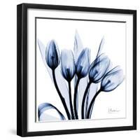 Marvelous Indigo Tulips-Albert Koetsier-Framed Art Print