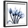 Marvelous Indigo Tulips-Albert Koetsier-Framed Art Print