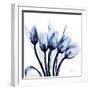 Marvelous Indigo Tulips-Albert Koetsier-Framed Art Print