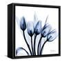 Marvelous Indigo Tulips-Albert Koetsier-Framed Stretched Canvas