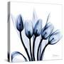 Marvelous Indigo Tulips-Albert Koetsier-Stretched Canvas