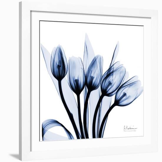 Marvelous Indigo Tulips-Albert Koetsier-Framed Art Print