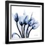 Marvelous Indigo Tulips-Albert Koetsier-Framed Art Print