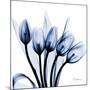 Marvelous Indigo Tulips-Albert Koetsier-Mounted Art Print