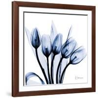 Marvelous Indigo Tulips-Albert Koetsier-Framed Art Print