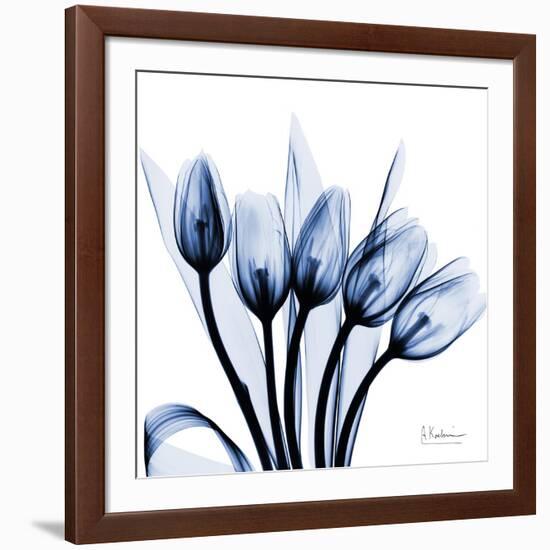 Marvelous Indigo Tulips-Albert Koetsier-Framed Art Print