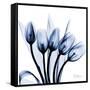 Marvelous Indigo Tulips-Albert Koetsier-Framed Stretched Canvas