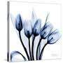 Marvelous Indigo Tulips-Albert Koetsier-Stretched Canvas